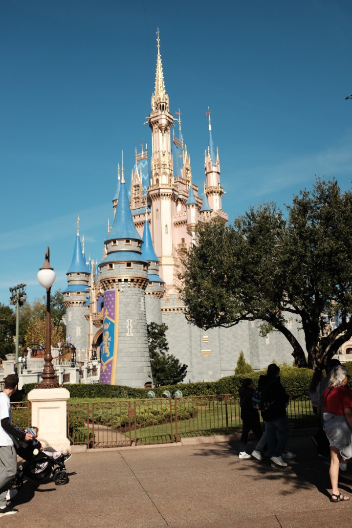 Disney castle in bright sunlight